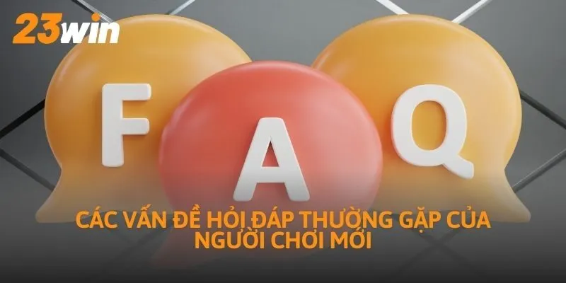 Các vấn đề hỏi đáp thường gặp của người chơi mới