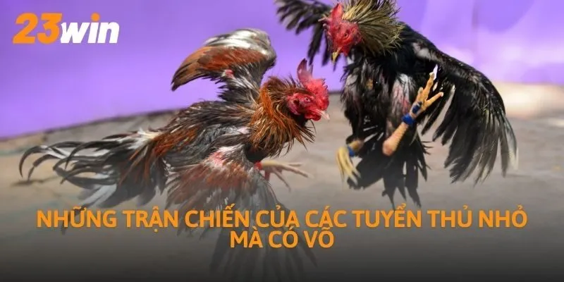 Những trận chiến của các tuyển thủ nhỏ mà có võ